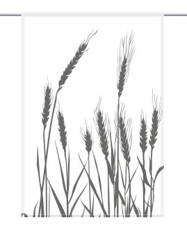 cereal 24 - blanco black, Scheibenhänger eckig